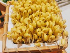 -巴奴毛肚火锅概念餐厅