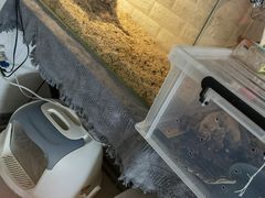 -平行世界·猫咖(首经贸店)
