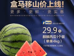 -盒马鲜生(岭南新世界店)