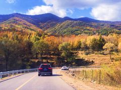 -塞罕坝国家级自然保护区