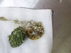 -畜牧兽医站(共江路店)