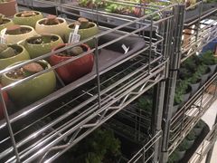 -鹿岛会员店 (龙湖三千集天街店)