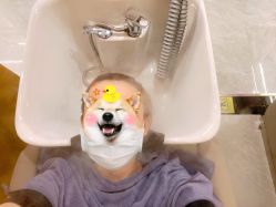 -希梵尔头皮抗衰·科技养发