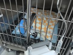 -联合动物医院(光谷诊疗中心)