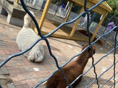 -长白岛森林公园