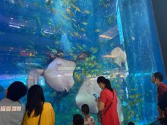 -成都浩海立方海洋公园