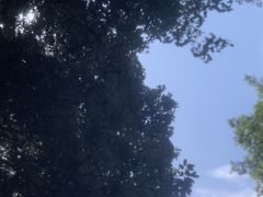 -雅鲁激流探险漂流