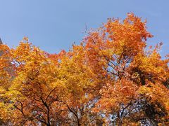 -张掖大佛寺景区