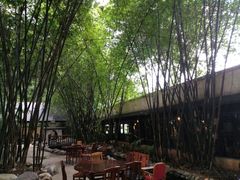 -勐丽梦兰傣味餐厅