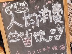 -猫咪派对(江南西店)