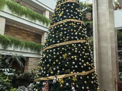 -广州白天鹅宾馆