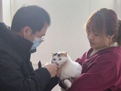 -瑞派福兴宠物医院犬猫全科·骨科·中西医结合(河东店)
