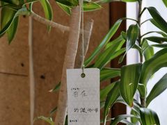 -Radar Coffee(思南路店)