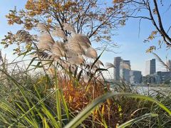-上海山野camping·户外天幕烧烤·团建拓展营地