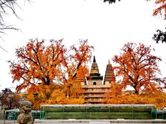 -北京石刻艺术博物馆(五塔寺)