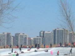 -丁香湖公园
