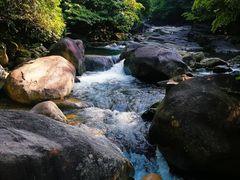 -大鄣山卧龙谷景区