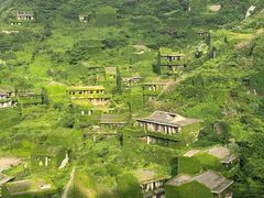 -枸杞岛