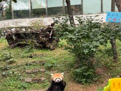 -大连森林动物园