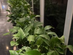 -一澜江宴·江景地标楚菜(江滩公园店)