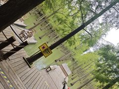 -泗洪洪泽湖湿地景区