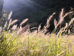 -神龙峡风景区