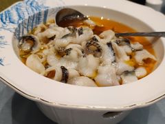 -丁老爷子苏香圆