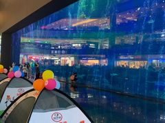 -成都浩海立方海洋公园