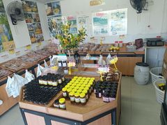 -苏州市吴中区光福窑上花果蜜饯厂