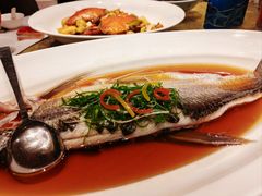 清蒸白水鱼-上海小南国(仲盛世界商城店)