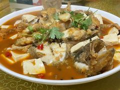 -煲来饱去冷水鱼