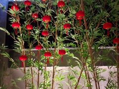 -荷栖小院·品质江西菜(红谷滩店)