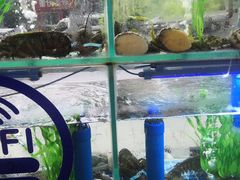 -富临港·蒸汽海鲜·手抓海鲜·炒菜(栈桥店)