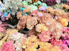 -越秀西湖花市(广州城市广场花卉店)