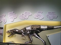 -香港科学馆