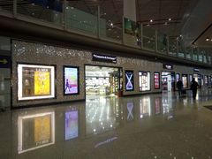 -日上免税店(三径路t3店)