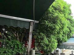 -听风阁农家私房菜茶楼(龙坞店)
