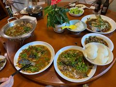 -全乐鱼馆·淳牌有机鱼直营店