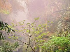 -藏龙百瀑风景区
