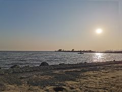 -合肥滨湖国家森林公园