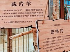 -龙湖西安曲江天街