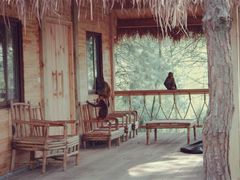 -重庆雨台山风景区