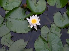 -同里国家湿地公园