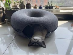 -中农国际动物医院24小时·猫科·骨科·急重症中心