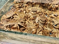-川骄海鲜自助(亚运村店)