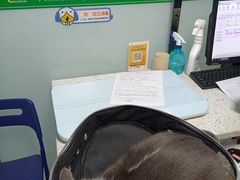 -半岛宠物医院24小时(科华中路店)