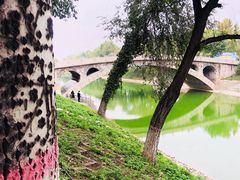 -赵州桥景区