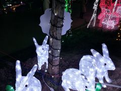 -美心红酒小镇游乐园