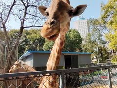 -荆州中山公园动物园