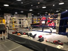 -Uppercut拳馆·Boxing拳击·Muay Thai泰拳